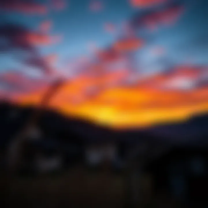 Wild Fortune and Serbian Sunsets